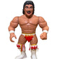 ***PRE-ORDER*** Title Run Toys Series 2 Johnny B. Badd