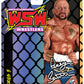 ***PRE-ORDER*** FC Wrestle Something Wrestlers 5 Perry Saturn