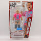Main Event Superstars Entrances 1 Dolph Ziggler