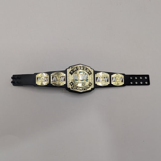 AEW Tag Team Championship