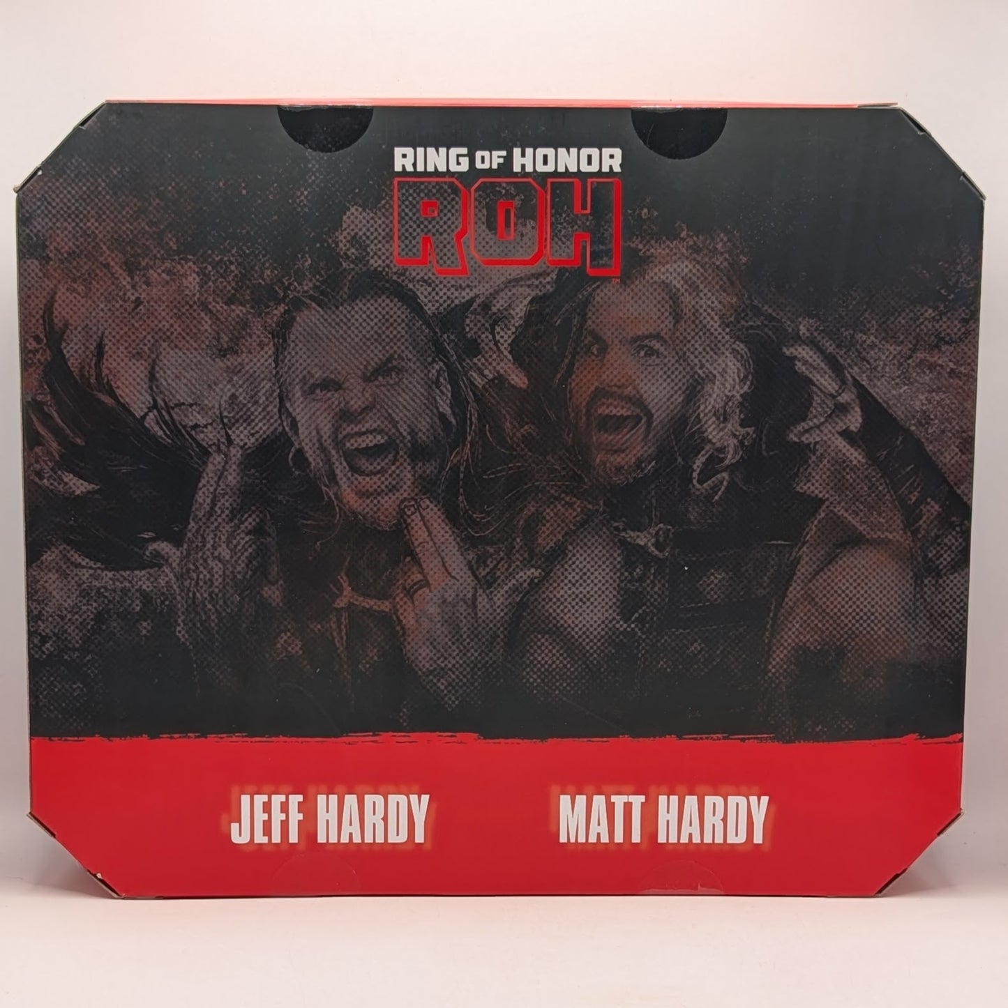 AEW ROH Vault The Hardy Boys (Matt & Jeff Hardy)