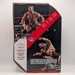 Ultimate Edition Ringside Exclusive The Steiner Brothers (Rick & Scott Steiner)