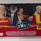 Elite Boxset Hulkamania 40th Anniversary Hulk Hogan