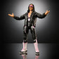 ***PRE-ORDER*** Ultimate Edition Greatest Hits 9 Bret Hart
