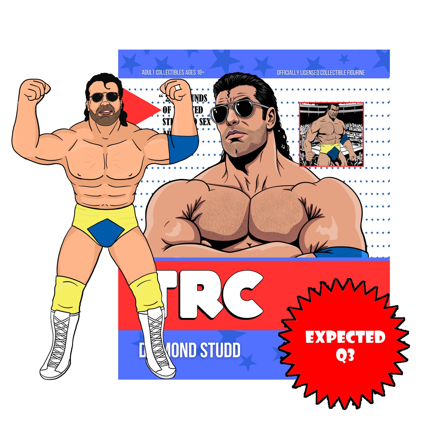 ***PRE-ORDER*** Top Rope Collectibles Diamond Studd