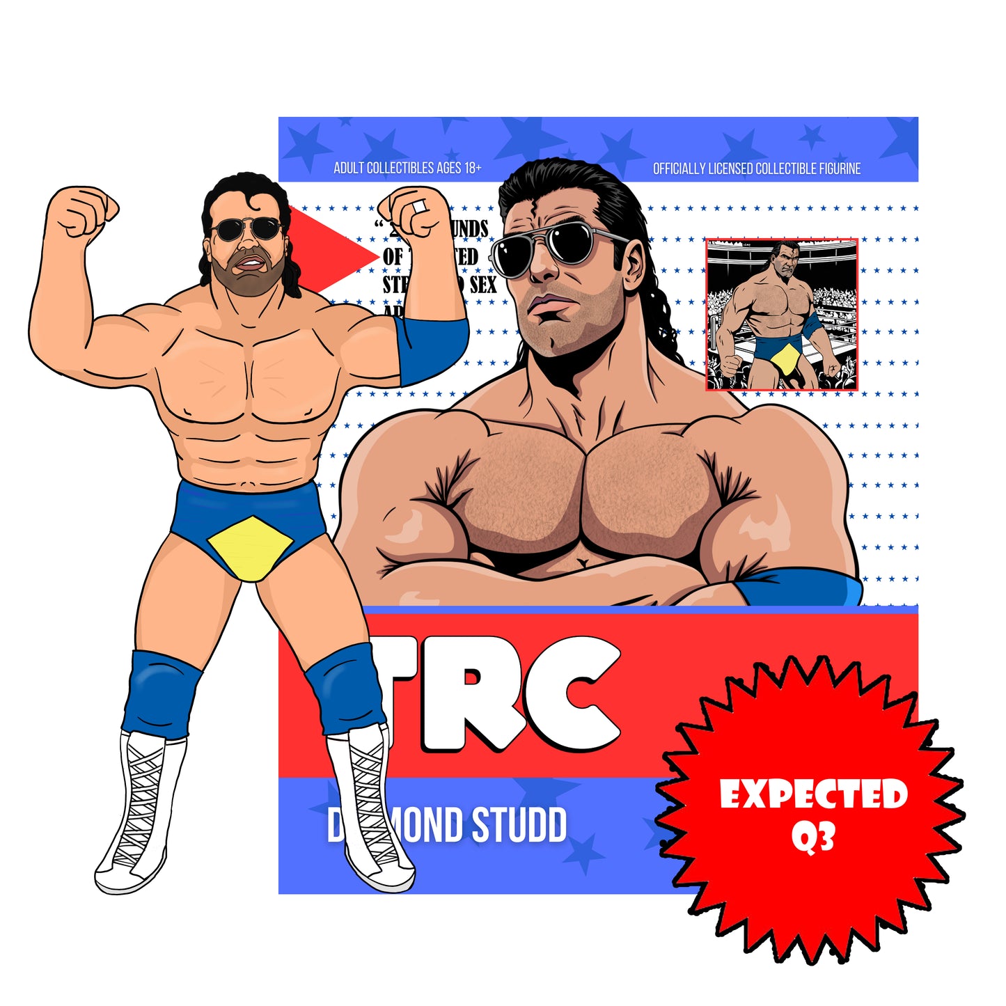 ***PRE-ORDER*** Top Rope Collectibles Diamond Studd